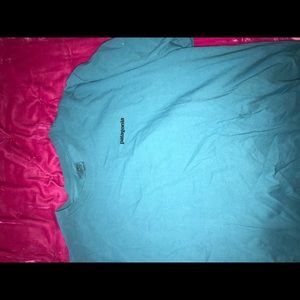 patagonia tshirt